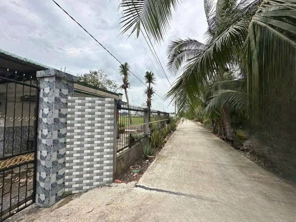 Nhà vườn chính chủ tại Bến Lức, Long An 154m² giá 1.55 tỷ - Tiềm năng khai thác lớn!