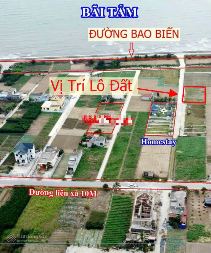 Đất thổ cư Quất Lâm 84m² giá 2.25 tỷ - Chính chủ bán gấp, rẻ hơn 300 triệu!