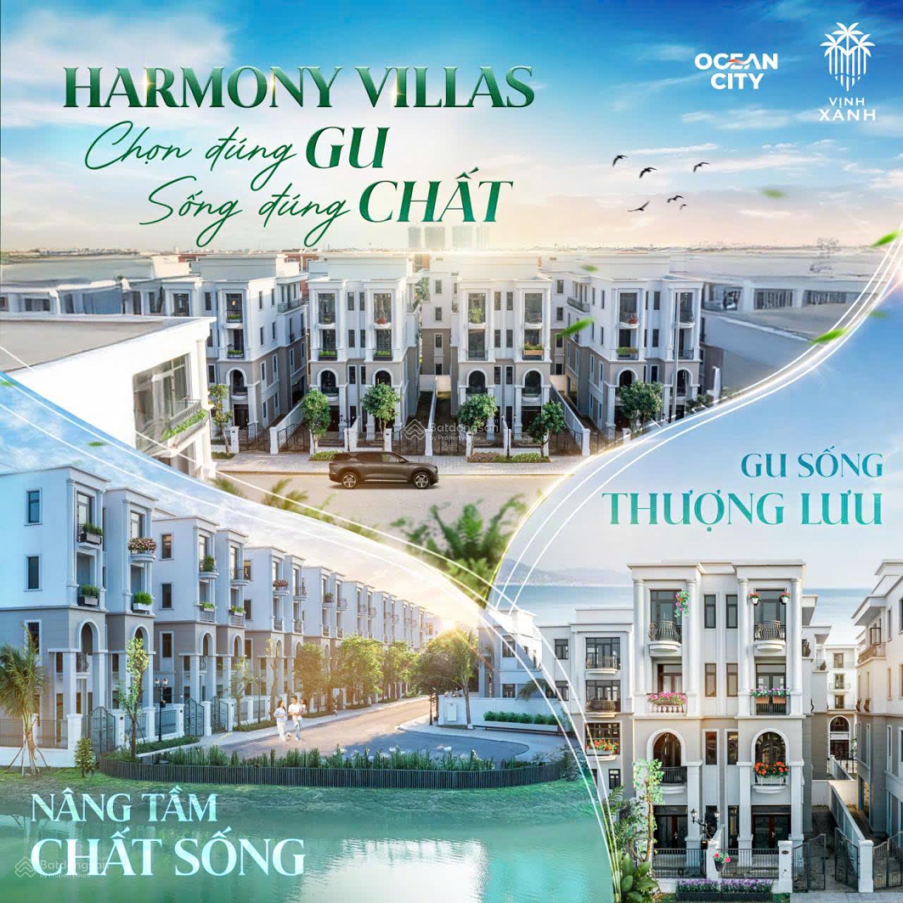 Nhà liền kề San Hô Vinhomes Ocean Park 2 54m² - Hàng hiếm giá trị đầu tư