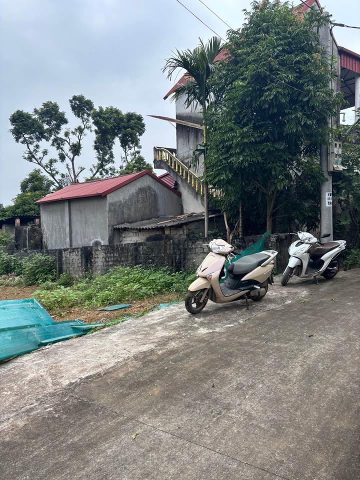 Lô đất Tản Lĩnh Ba Vì 1187m² giá thỏa thuận - View núi đẹp