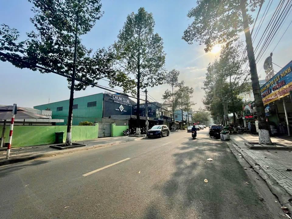 Đất Mặt Tiền Trương Định, Phường Tân Mai 312m² - Vị trí kinh doanh sầm uất!