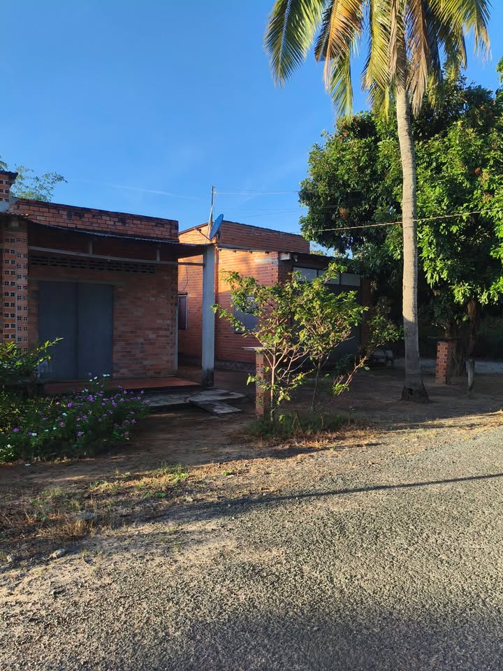 Đất nền thổ cư Tân Biên, Tây Ninh 310m² giá 468 triệu - Cơ hội đầu tư tuyệt vời!