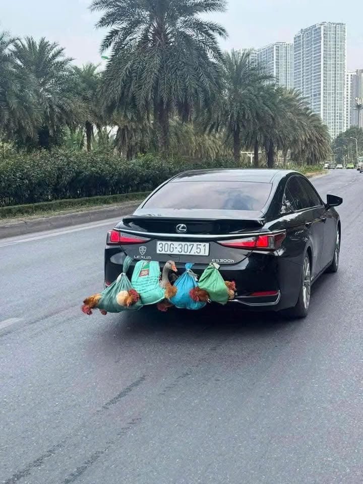 Đất nền Quảng Đông Thanh Hóa 100m² giá 800 triệu - Cơ hội đầu tư không nên bỏ lỡ!