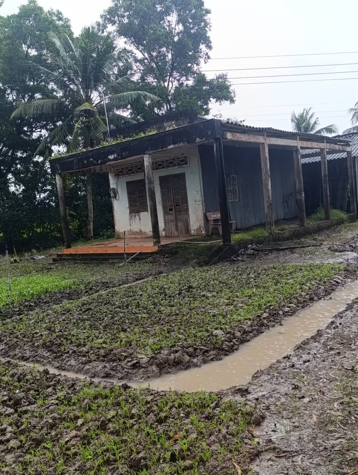 Đất thổ cư 290m² tại ấp Huê 2, Bạc Liêu giá 2.1 tỷ - Đầu tư sinh lời ngay!