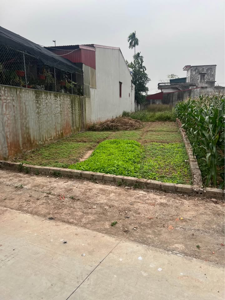 Đất nền Lương Bằng - Kim Động 185m² giá 2 tỷ - Đường ô tô tránh nhau, view sông!