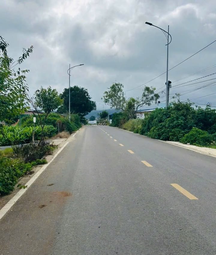 Đất mặt tiền nhựa Phú Trung, Đức Trọng 1600m² giá 9 tỷ - Cơ hội đầu tư hấp dẫn!