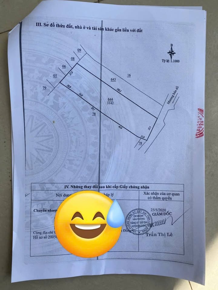 Đất sào đẹp 3100m² tại xã Quảng Lập, Lâm Đồng - Giá chỉ 600 triệu/sào!