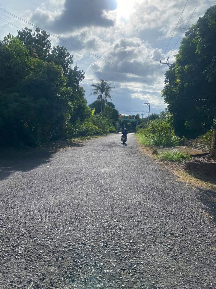 Đất nền liền kề Phường Trần Hưng Đạo 250m² giá 125 triệu - Đường rộng ô tô vào tận nơi!