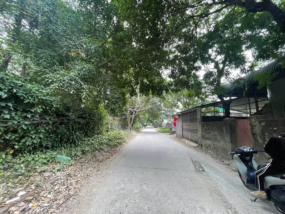 Đất thổ cư Tổ 6 Thịnh Lang, Hòa Bình 98m² giá 3 tỷ - Sổ đỏ chính chủ, ô tô đỗ cửa!