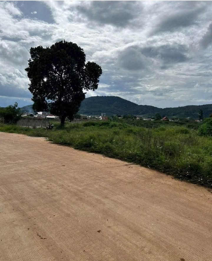 Đất thổ cư Liên Hiệp, Đức Trọng 74.9m² giá 970 triệu - Đường ô tô vào tận nơi!