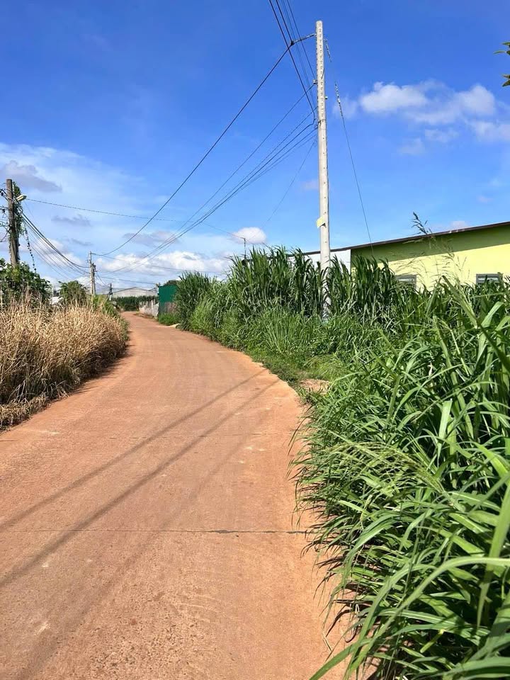 Đất nền đường Cospha, Đức Trọng 175m² giá 1.4 tỷ - Đầu tư sinh lời ngay!