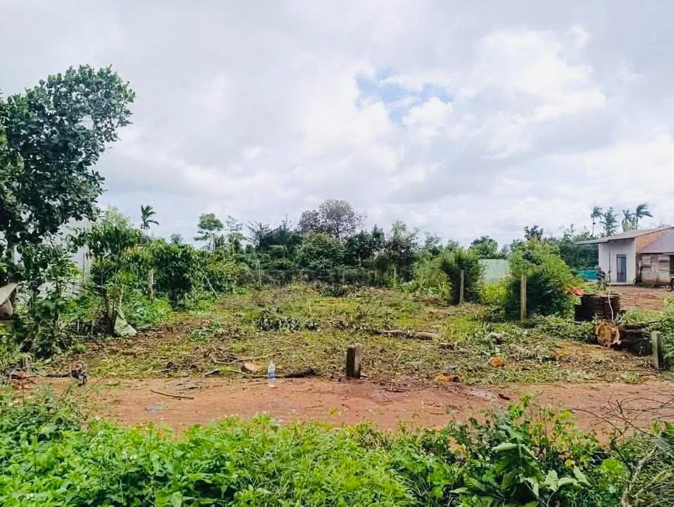 Đất nền Ea Drông Buôn Hồ 130m² giá chỉ 260 triệu - Đầu tư sinh lời ngay!