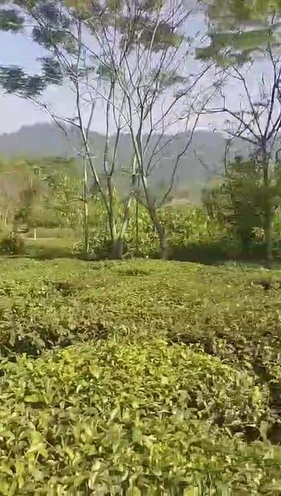 Đất thổ cư 400m² tại Trung Sơn, Vị Xuyên, Hà Giang - Giá tốt, cơ hội đầu tư hấp dẫn!