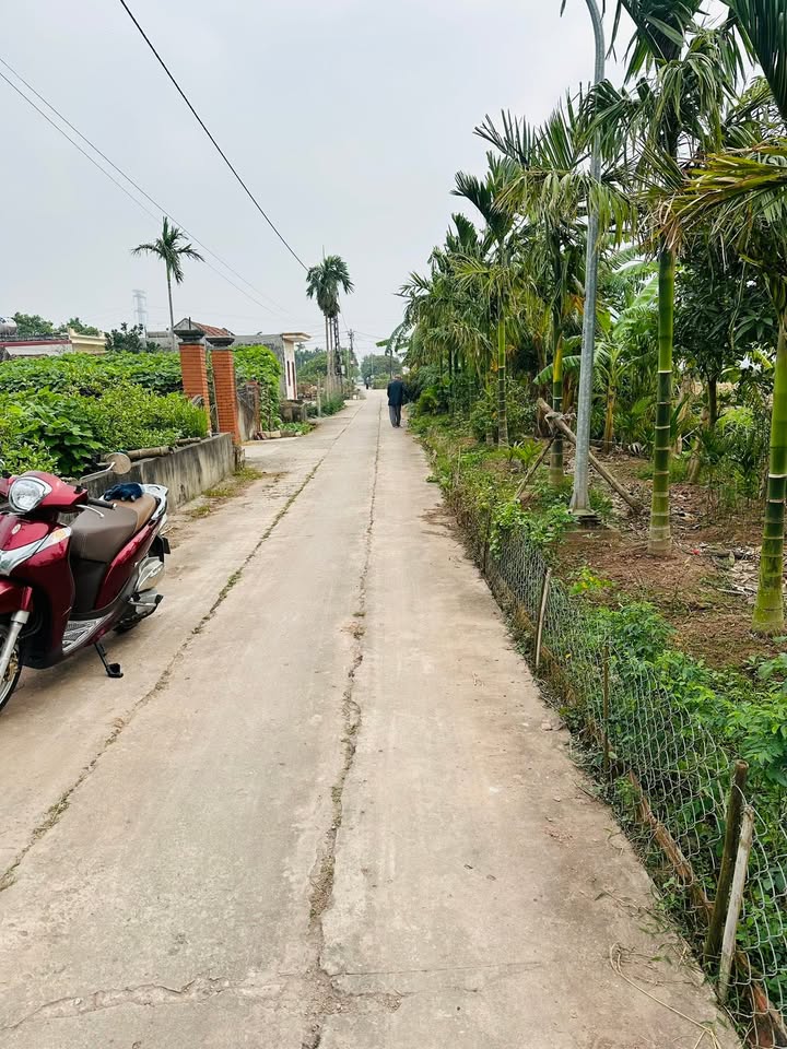 Đất nền Hồng Phong, Nam Định 306m² - Tiềm năng đầu tư lớn!