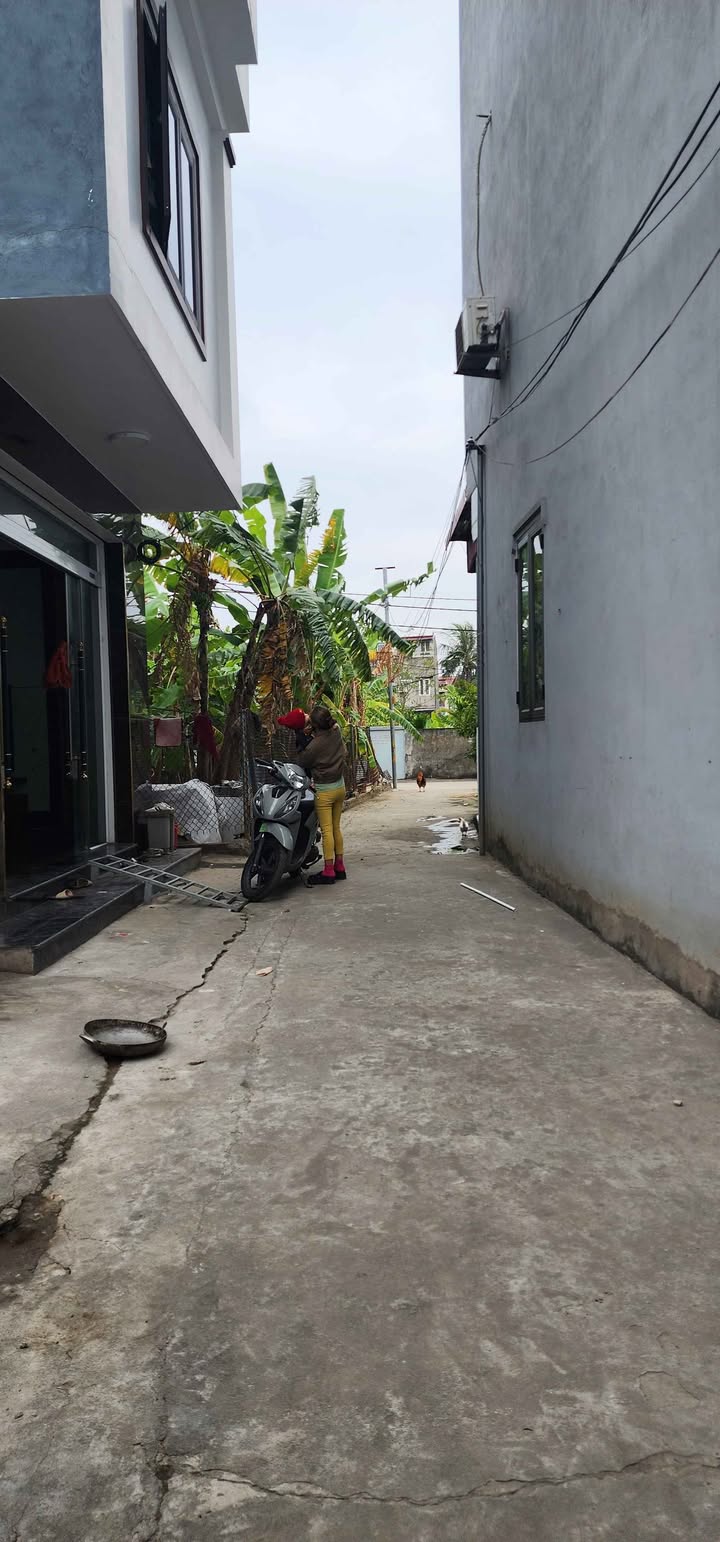 Bán đất 2 mặt ngõ Hùng Vương 50m² giá 1.75 tỷ - Đầu tư sinh lời ngay!