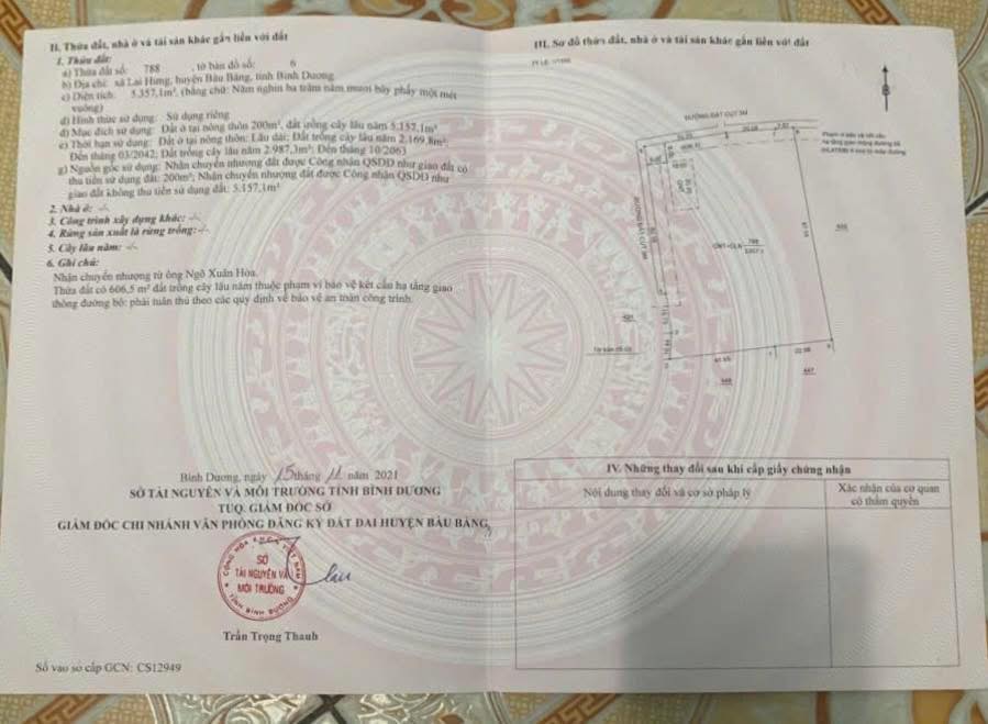 Đất nền 5.300m² Bàu Bàng, Bình Dương giá chỉ 9.065 tỷ - Cơ hội đầu tư hấp dẫn!