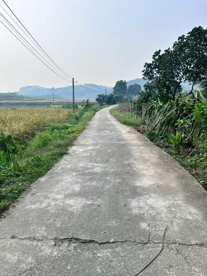 Đất ở Chân Mộng, Đoan Hùng 355m² - Giá thỏa thuận, đầu tư sinh lời!