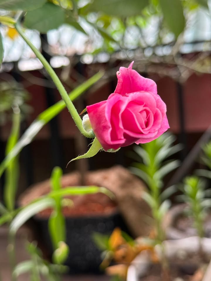 Đất nền Nông Tiến, Tuyên Quang 110m² giá chỉ 900 triệu - Cơ hội đầu tư hấp dẫn!