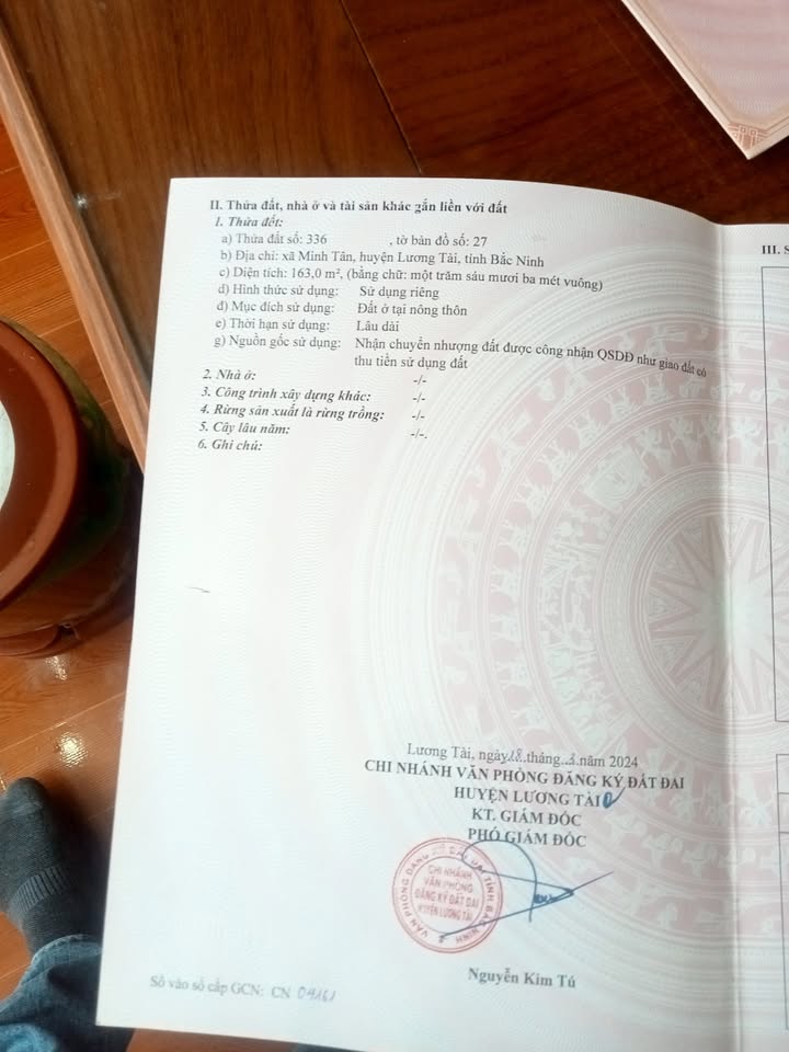 Đất nền chính chủ Lương Tài 163m² - Giá thỏa thuận - Đường lớn dễ dàng kết nối!