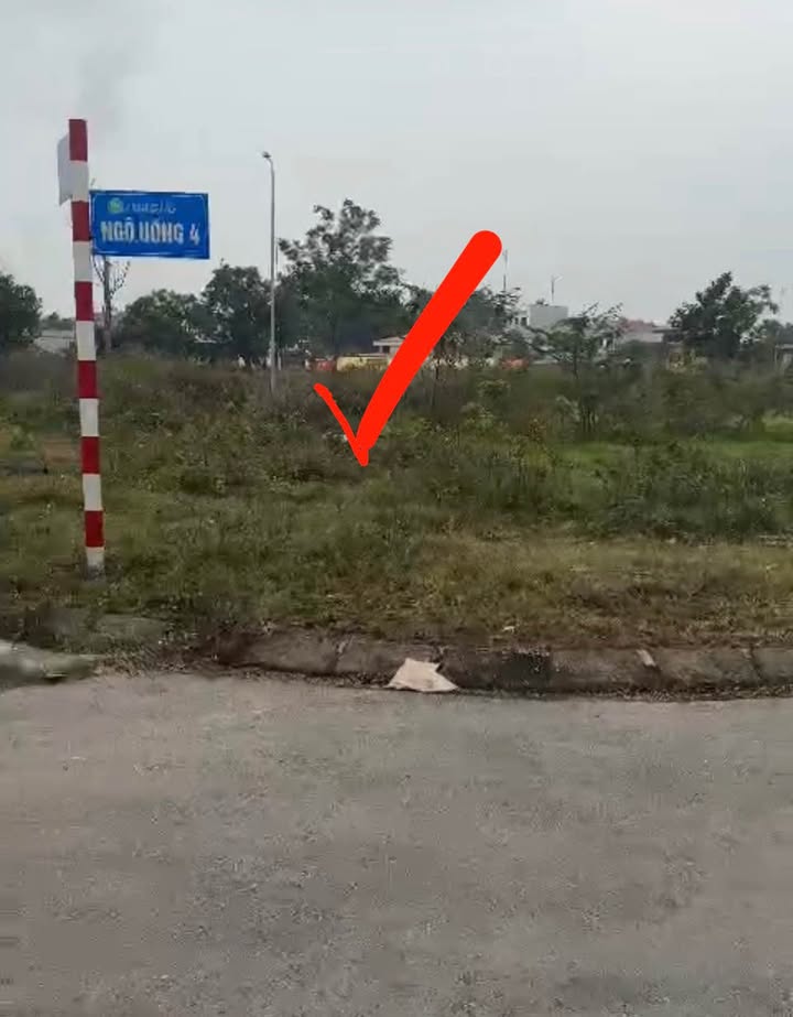 Lô Đất Góc Đẹp tại Mỹ Độ, Bắc Giang 99m² giá chỉ 4 tỷ - Đầu tư sinh lời ngay!