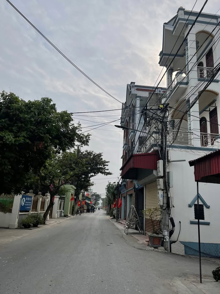 Đất Đông Trại - Đồng Quang, Gia Lộc 90m² giá chỉ 500 triệu - Cơ hội đầu tư tuyệt vời!