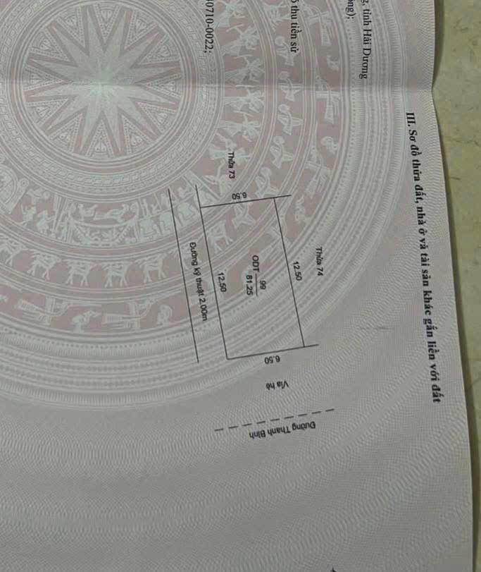 Đất mặt đường Thanh Bình 81.25m² - Cơ hội kinh doanh đắc địa!