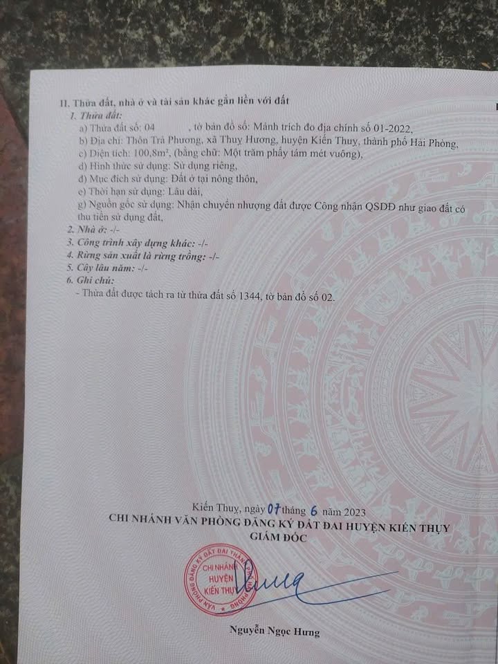 Đất nền Thụy Hương Kiến Thụy 100m² giá 1 tỷ - Cơ hội đầu tư hấp dẫn!