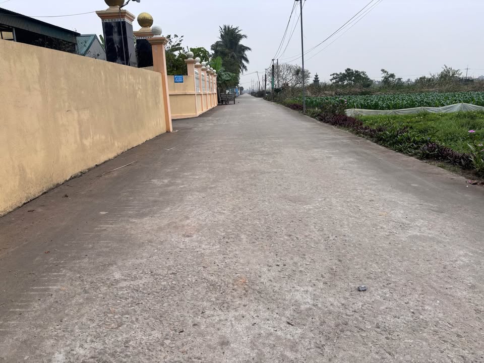 Đất nền xã Hoa Lộc, Hậu Lộc 258m² - Giá thỏa thuận hấp dẫn!