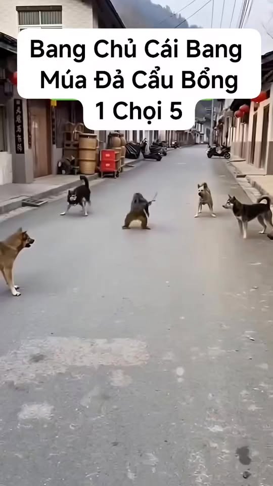 Nhà cấp 4 Bình Mỹ, Củ Chi 60m² giá 1.45 tỷ - Khu dân cư hiện hữu, gần TL9