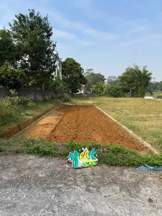 Đất nền xã Danh Thắng, Hiệp Hòa 105m² giá 600 triệu - Vị trí thuận lợi, đầu tư sinh lời!