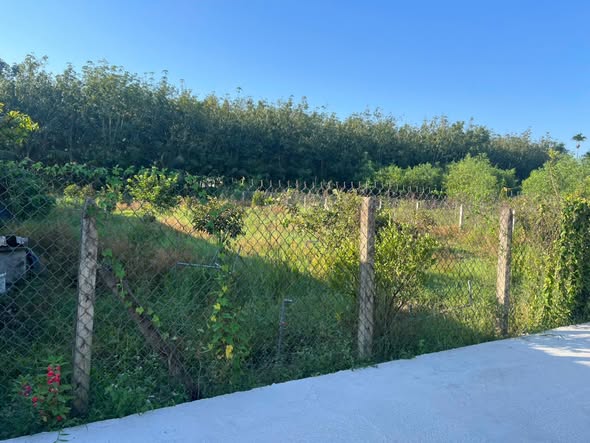 Đất nền 820m² tại Ấp 2, Truông Mít, Tây Ninh - Sổ đỏ chính chủ, giá 820 triệu!