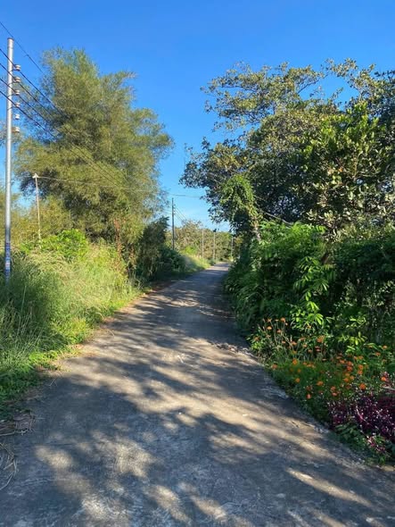 Đất nền chính chủ tại Minh Tâm, Hớn Quản 50m² giá chỉ 200 triệu - Cơ hội đầu tư tuyệt vời!