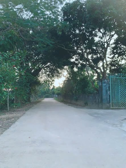 Đất nền Hợp Lý - Triệu Sơn 67m² giá 200 triệu - Sổ hồng chính chủ, đầu tư sinh lời!