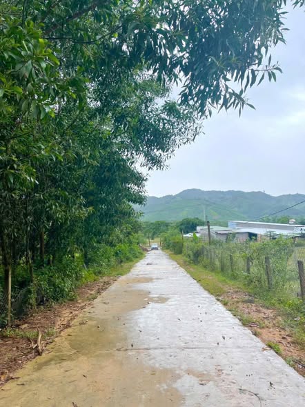 Đất thổ cư Khánh Phú Khánh Vĩnh 347,9m² giá 579 triệu - Đầu tư sinh lời ngay!