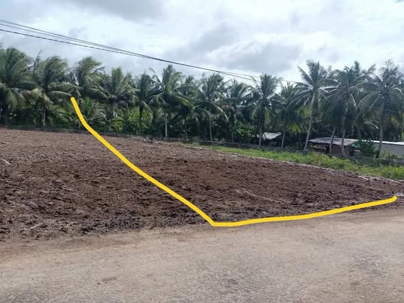 Đất nền mặt tiền đường Nguyễn Đáng - 175m² giá chỉ 200 triệu - Cơ hội đầu tư sinh lời!