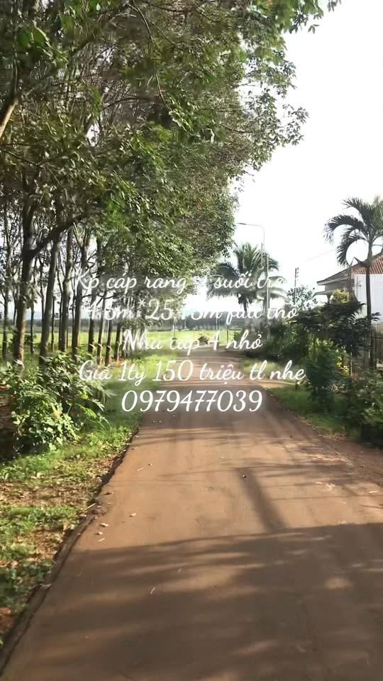 Nhà cấp 4 Suối Tre 117m² giá 1.15 tỷ - Sổ đỏ chính chủ, sở hữu lâu dài!