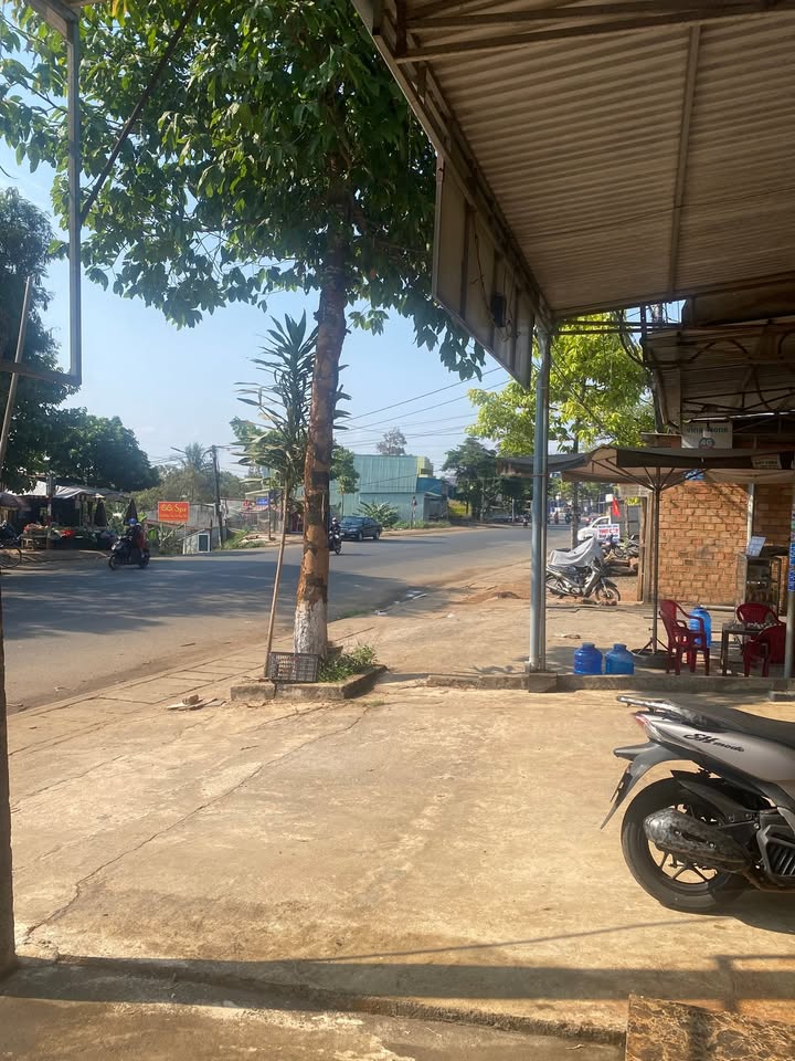 Nhà mặt tiền đường Lê Thánh Tôn, phường Ia Kring, Gia Lai 250m² - Đầu tư sinh lời!