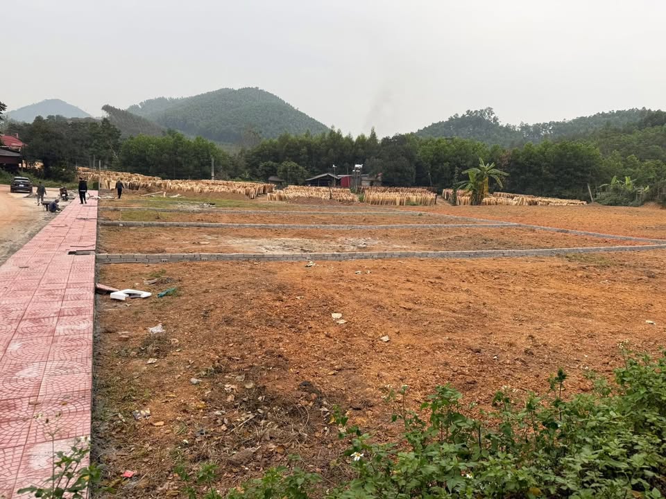 Đất nền Tam Tiến, Yên Thế 250m² giá chỉ từ 600 triệu - Đường xe công vào tận nơi!