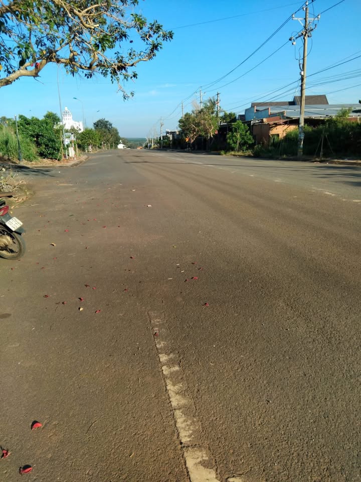 Đất nền Phước Bình, Bình Phước 138m² - Giá cực kỳ hấp dẫn cho nhà đầu tư!