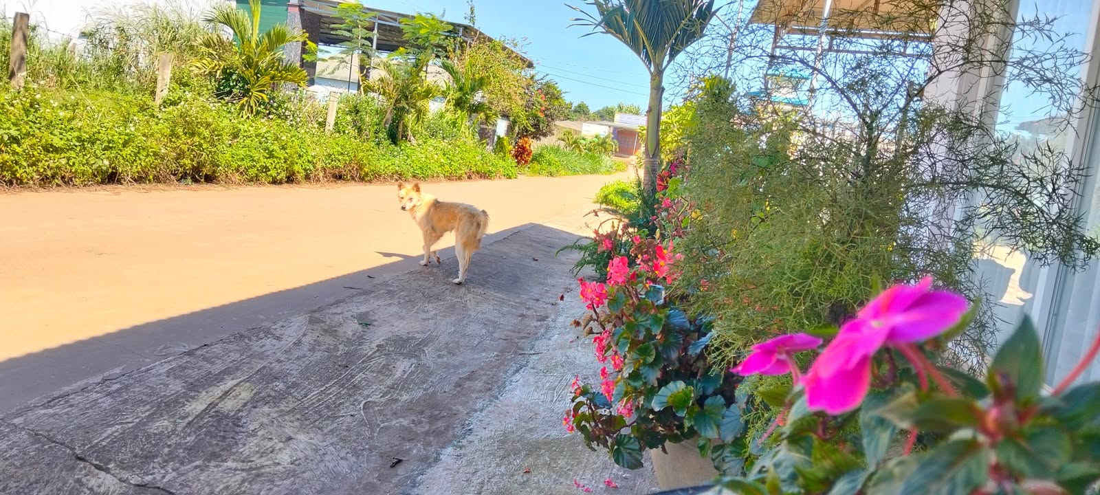 Đất nền Quảng Lập Đơn Dương 535m² giá chỉ 1.5 tỷ - Đầu tư sinh lời hấp dẫn!