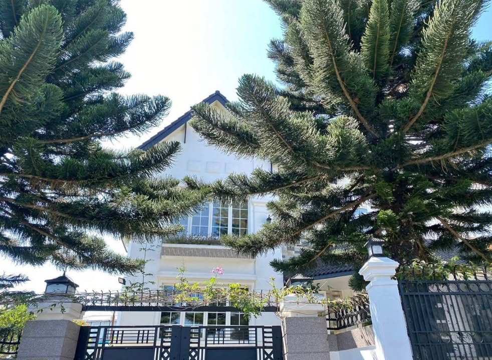 Villa 2 mặt tiền Triệu Việt Vương, Đà Lạt 434m² giá 21 tỷ - Đẳng cấp sống sang trọng!