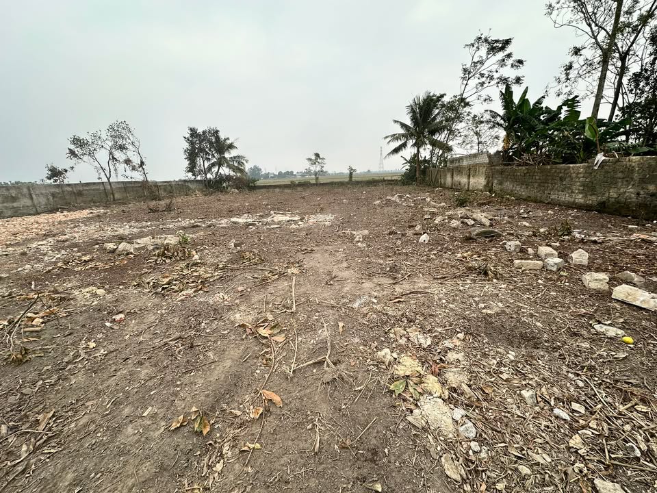 Đất nền Tân Phong 2000m² giá 3 tỷ - Đầu tư sinh lời ngay!