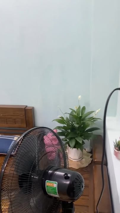 Căn hộ Chung cư Ngô Quyền 29m² giá thỏa thuận - Sang tên nhanh chóng!