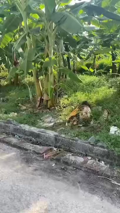 Đất nền Hồng Thái Kiến Xương 80m² giá thỏa thuận - Đường ô tô thông thoáng!