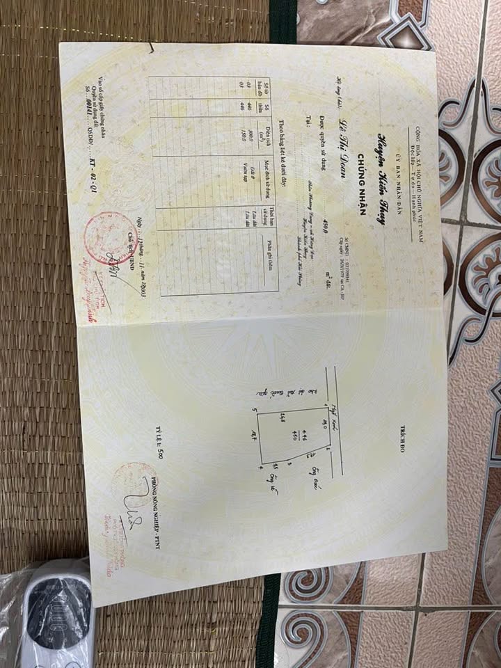 Đất thổ cư 300m² tại Hưng Đạo, Dương Kinh - Ô tô vào tận nơi!