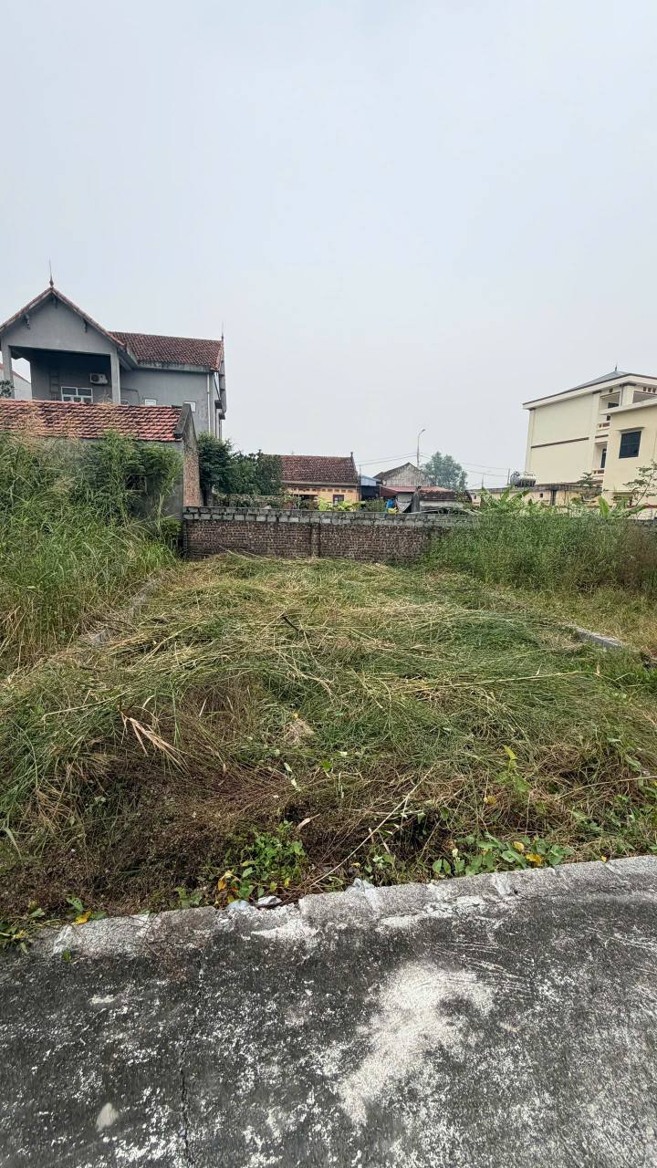 Đất nền Hiệp Cường Kim Động 77m² giá 1.2 tỷ - Đường thông ô tô 7 chỗ