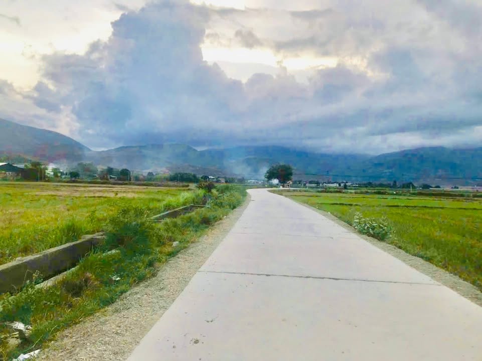 Đất nền Cam Phước Tây 1408m² giá 400 triệu - Sổ đỏ chính chủ, bám đường bê tông rộng