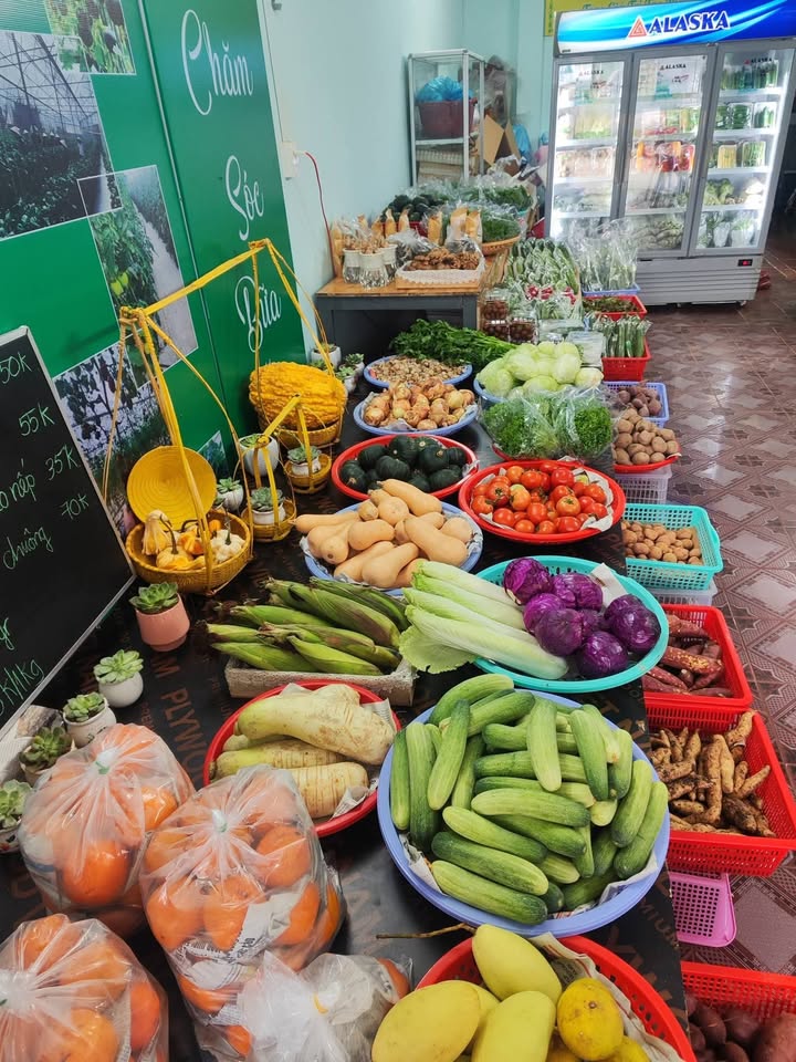 Nhà cấp 4 Đức Phổ 100m² giá 1.5 tỷ - Kinh doanh sầm uất!