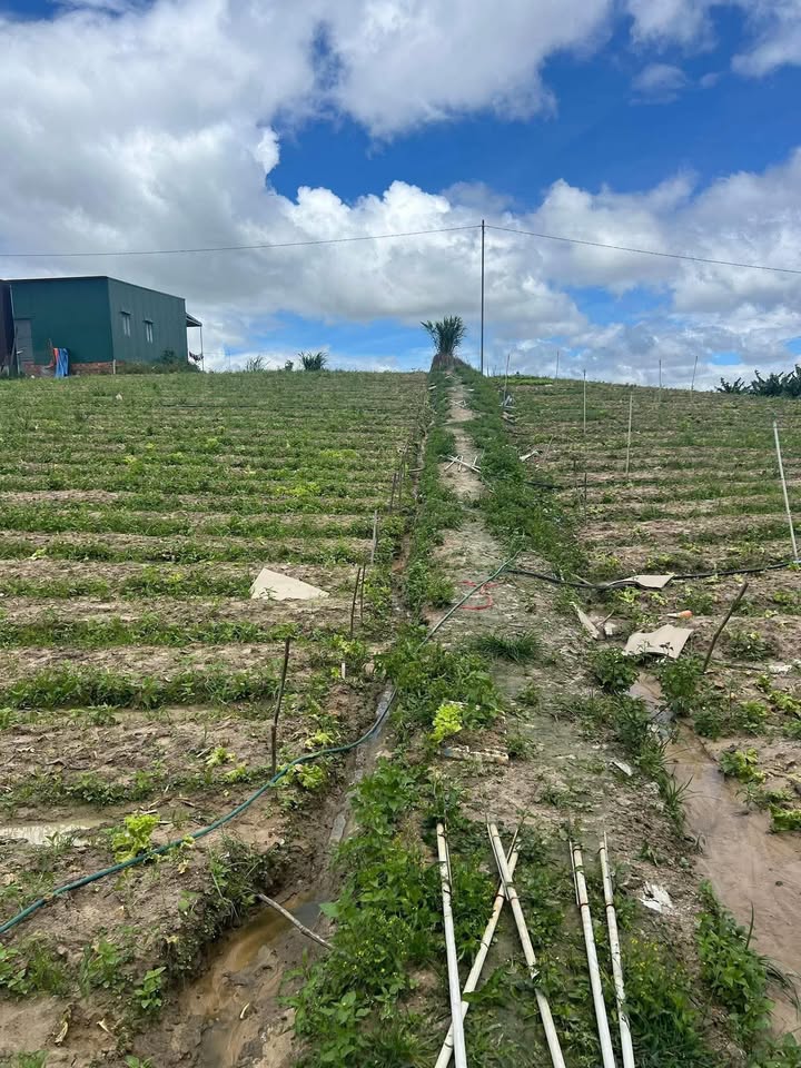 Lô đất 14,400m² tại xã Tu Tra, Đơn Dương - Giá chỉ 1.72 tỷ VND, sẵn điện nước