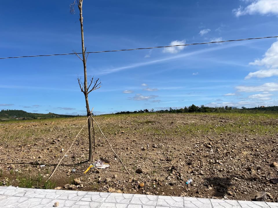 Đất nền Tân Hà Lâm Hà 1030m² giá 630 triệu - Cơ hội đầu tư hiếm có!